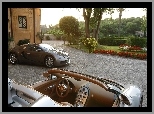 Ogród, Bugatti Veyron, Dom, Samochód